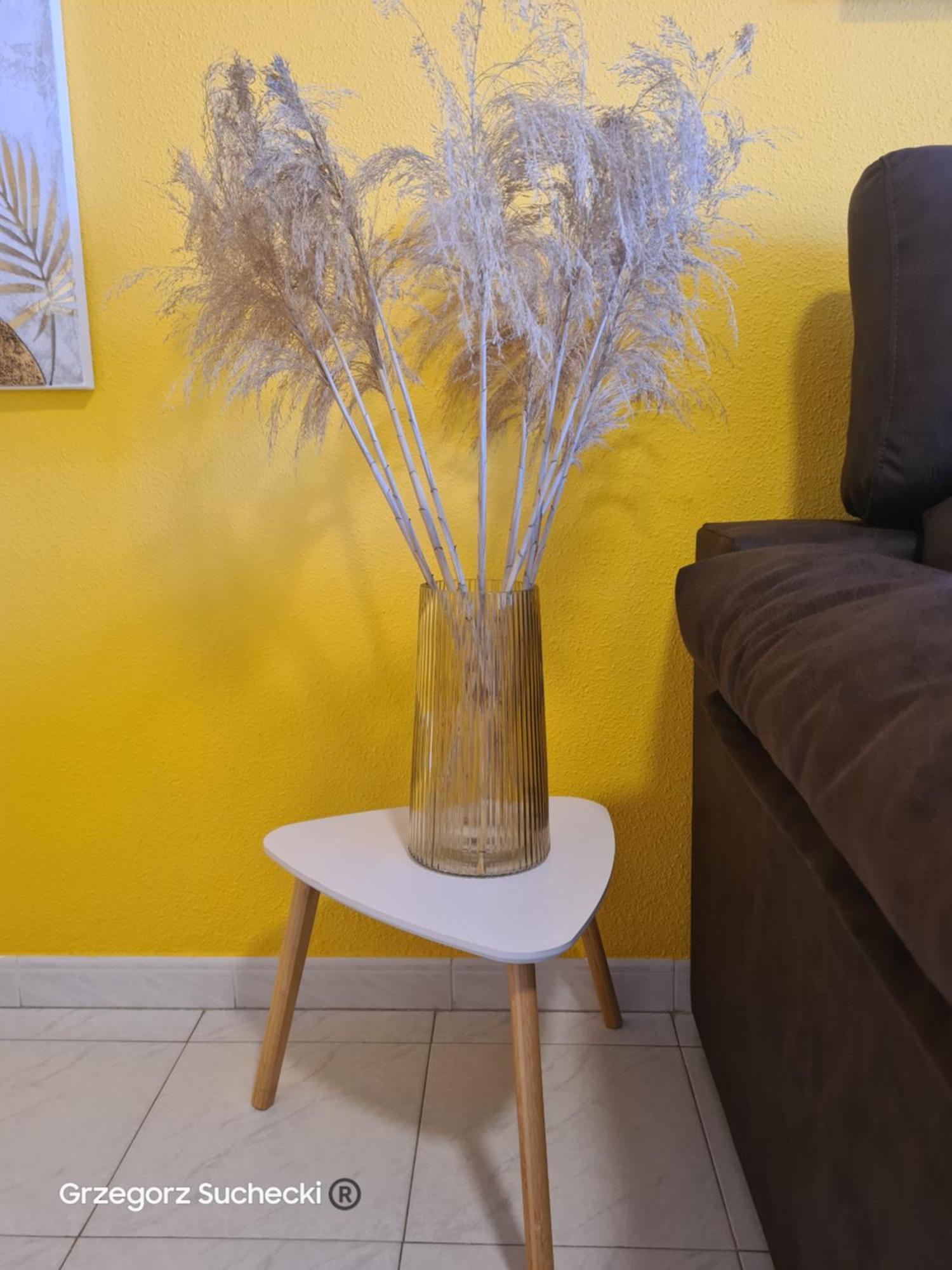 Apartamento Parquemar Apartment La Mata  Bagian luar foto